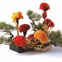 JACCC Announces Ohara School of Ikebana Exhibition